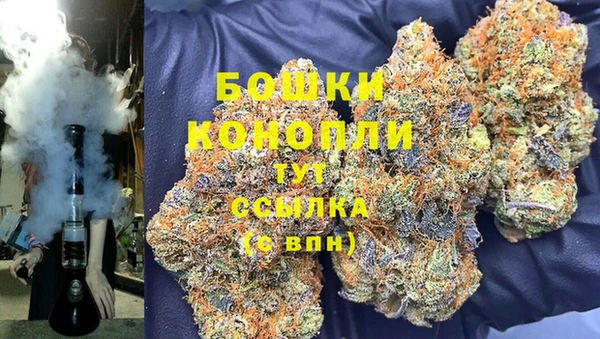 прущие крисы Балахна