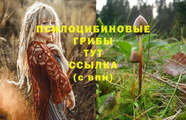 гидропоника Балабаново